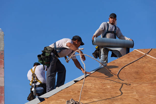 Best Metal Roofing Contractor  in Howe, TX